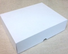 iPad Box Matte white (Versions 1-4) with power supply & leads